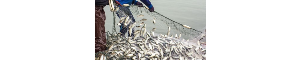 Redes de Pesca
