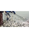 Redes de Pesca