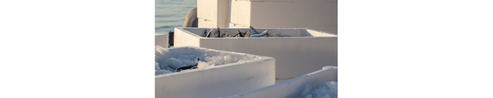 Hieleras Térmicas