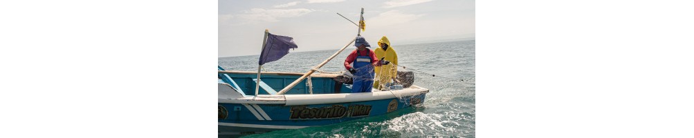 Accesorios para la pesca