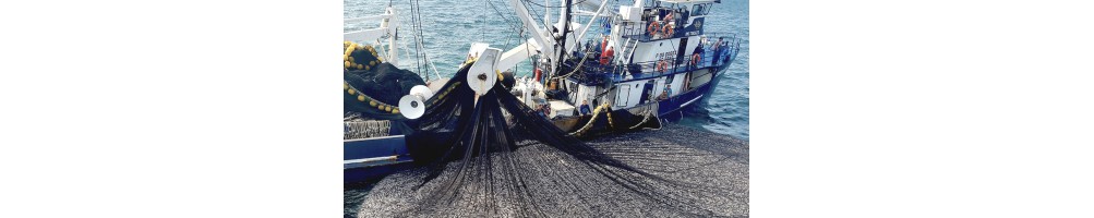 Redes Sardineras