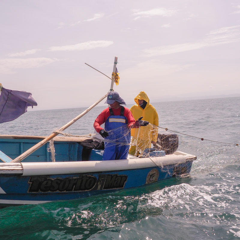 Redes Multifilamento Artesanales